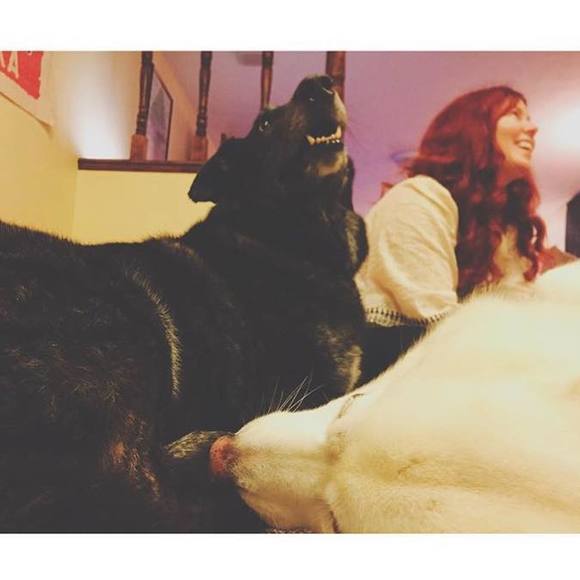 Meet your Posher, Amanda - Picture 1 of 1